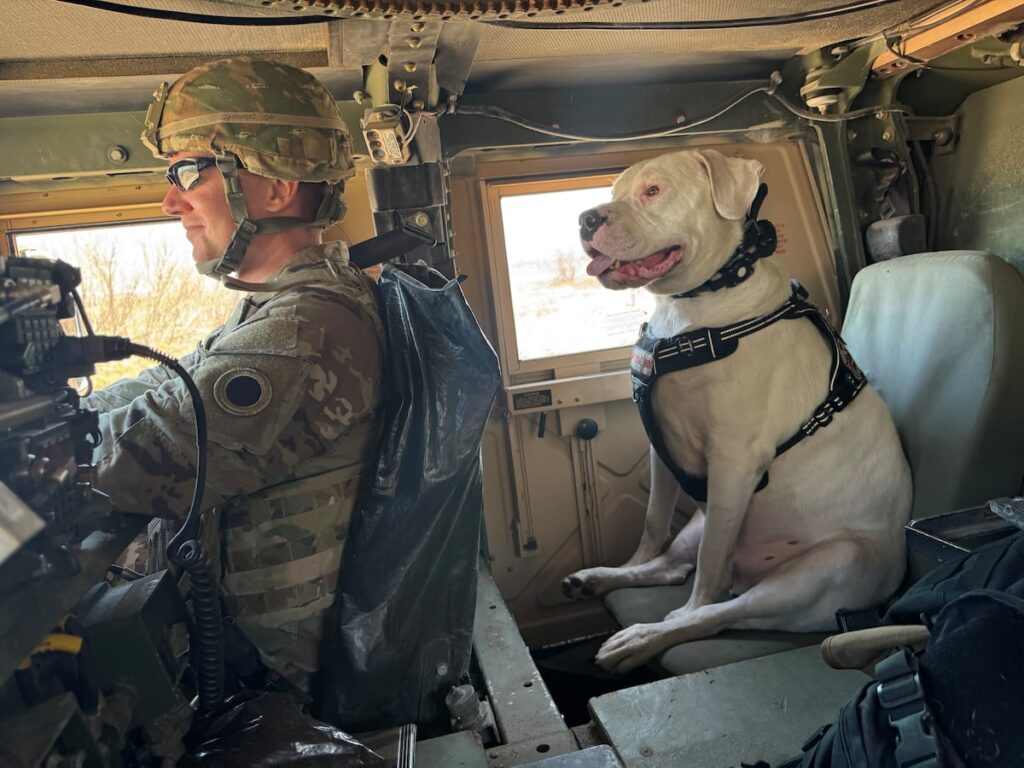 Meet Axel, the deaf rescue dog now set to deploy Meet Axel, the deaf rescue dog now set to deploy